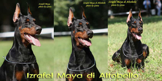 izrafel_maya