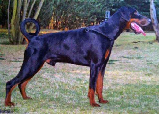 pablo17mths