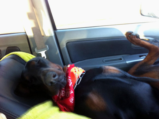pablosleep