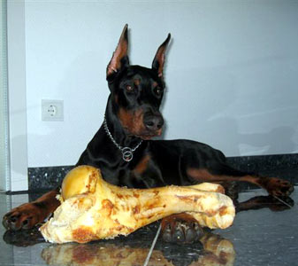 germany-wilson1