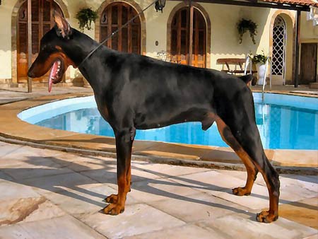 Cesar-1-ano2