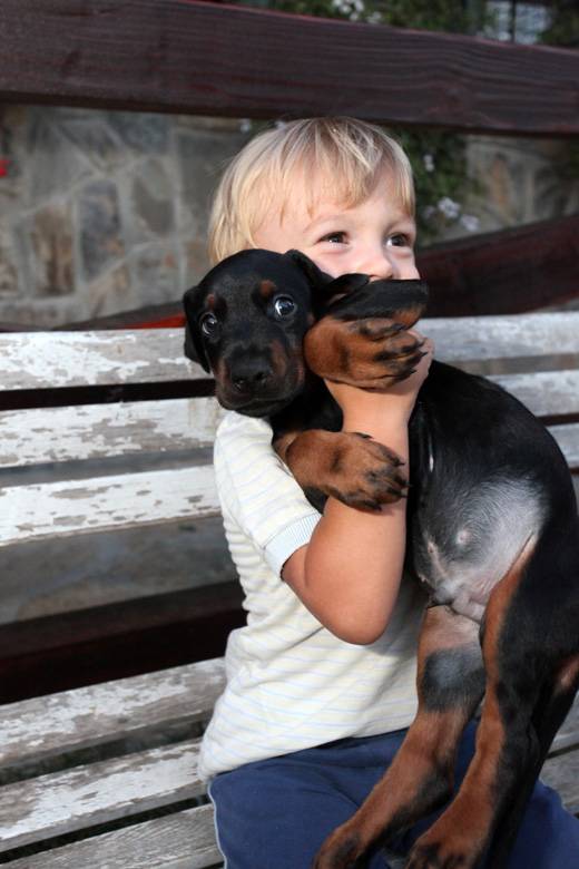 matteo-puppy02