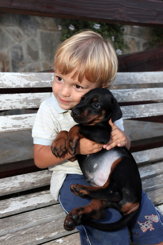 matteo-puppy07
