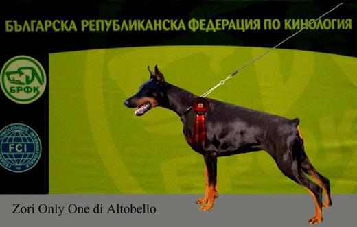 zori-only-one-di-altobello2
