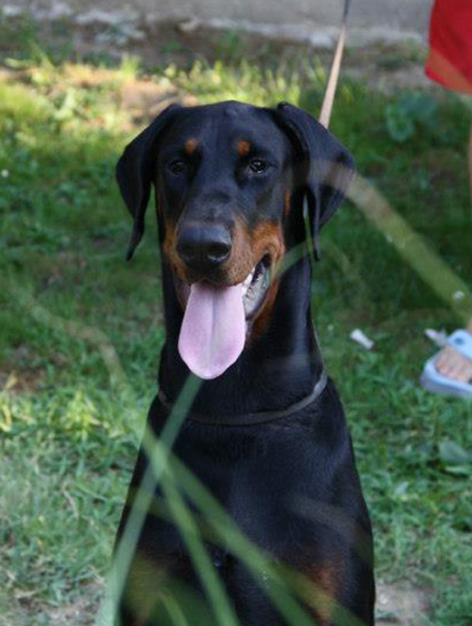 athena