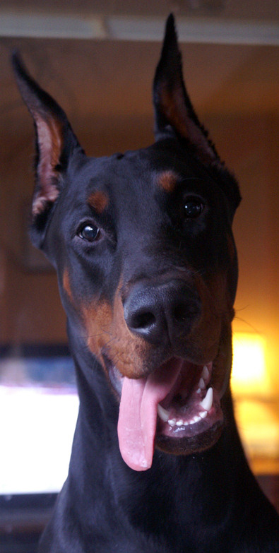 cass2