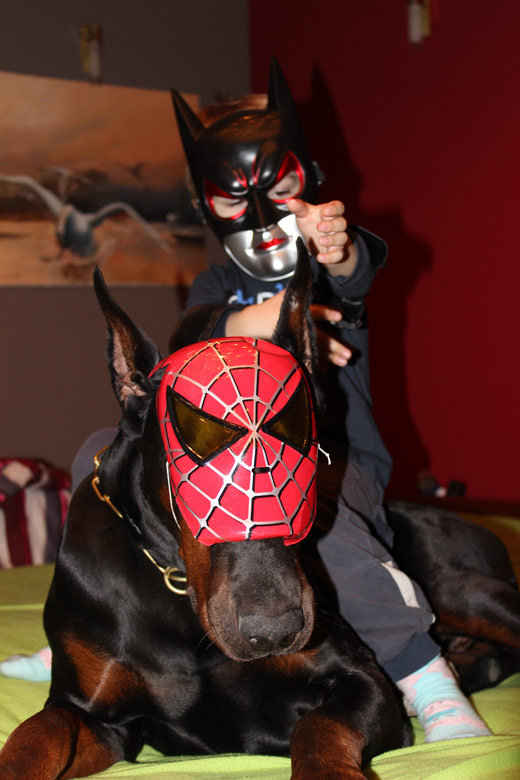 marvel-heroes