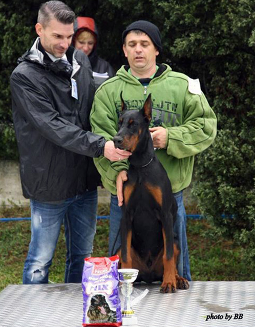 mika1