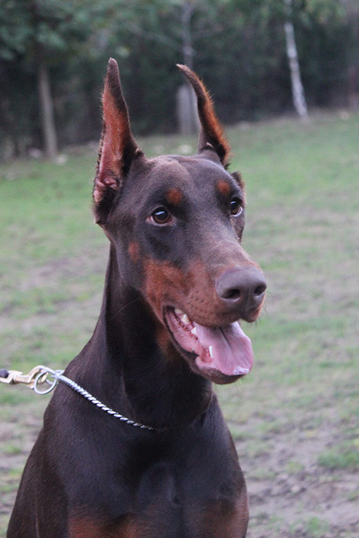 ilma5