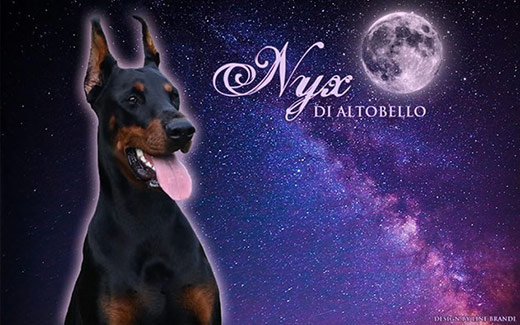 nyx