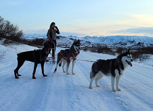 iceland
