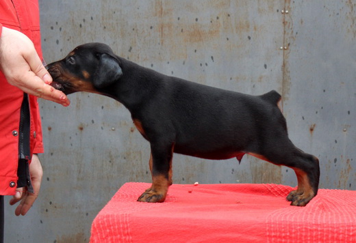 male3