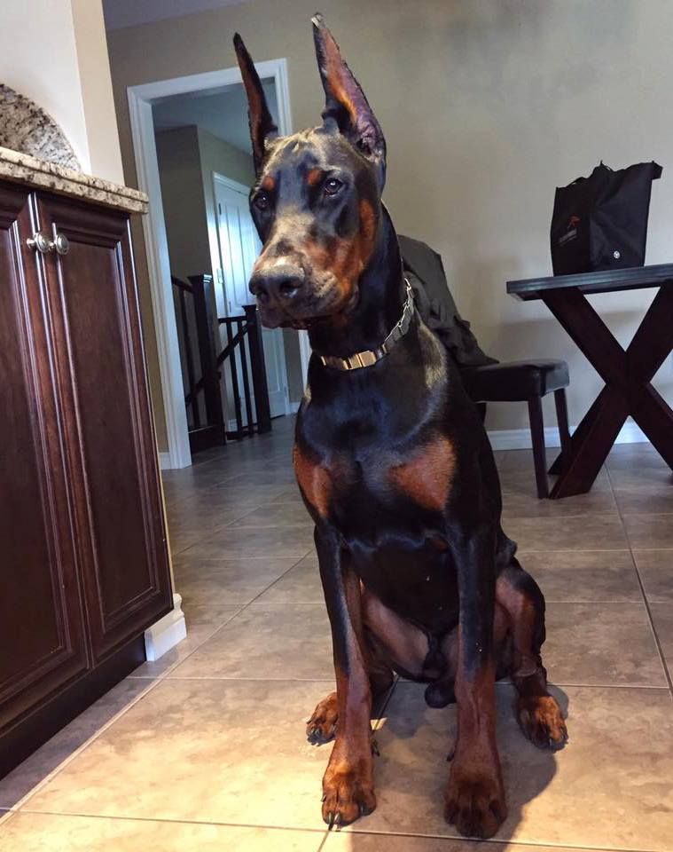 vader3