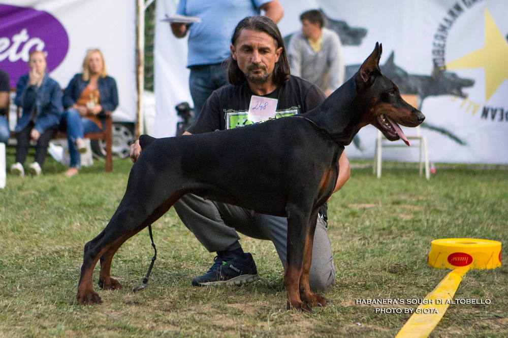 habanera