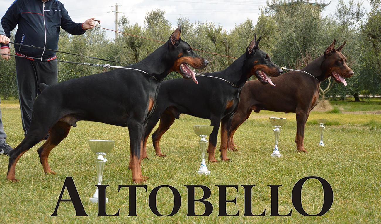 altobello boys