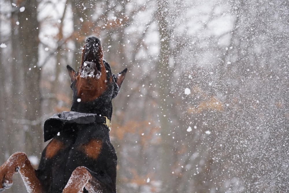 snow