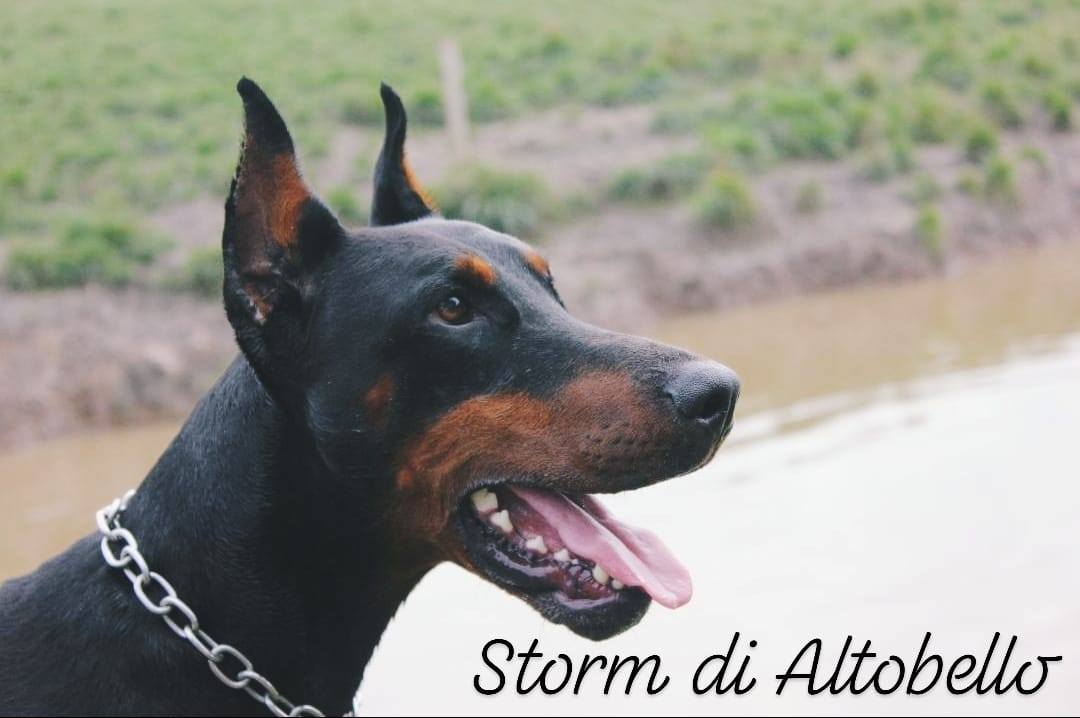 stormy
