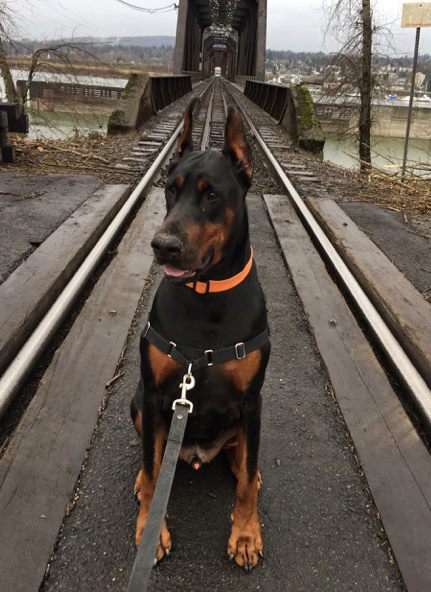 vito