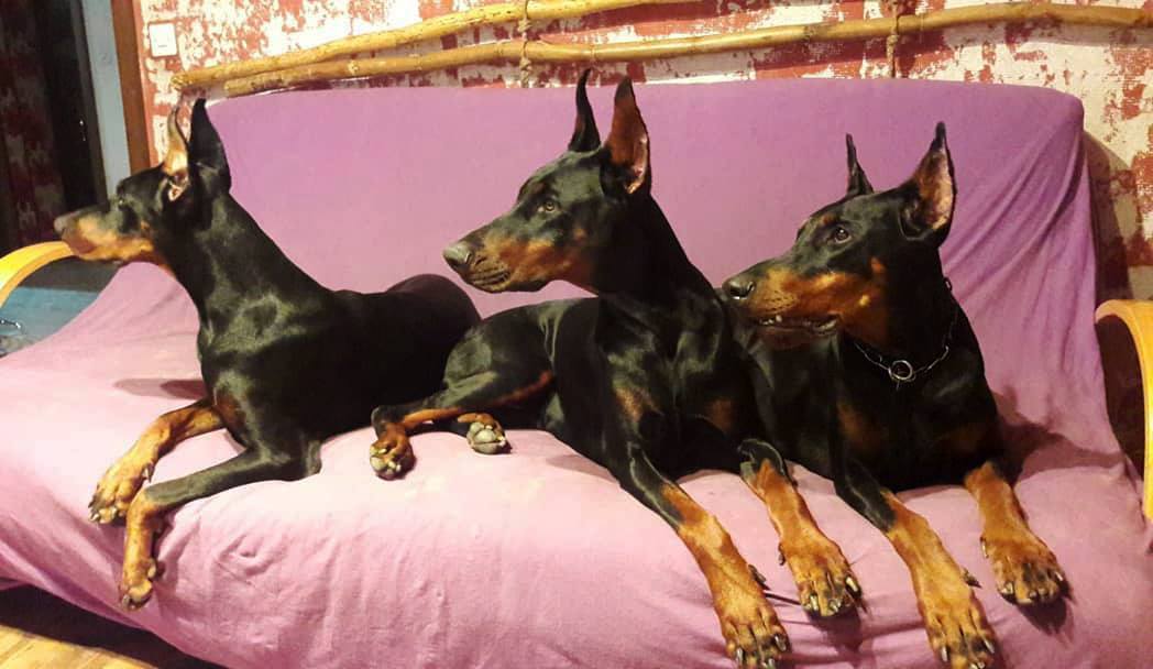 agirls
