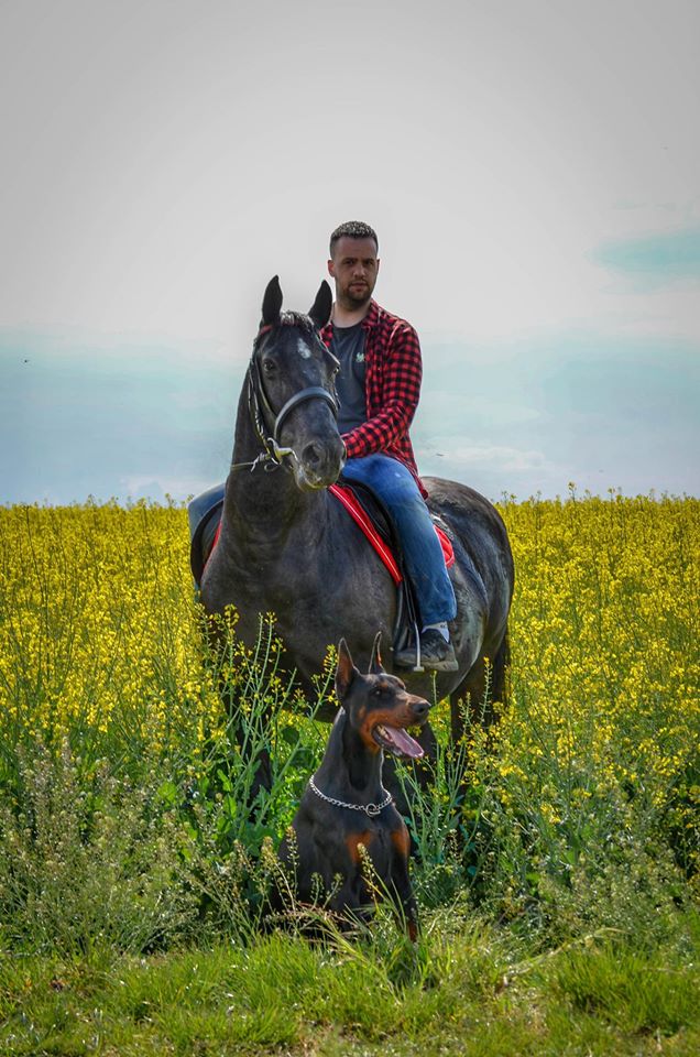 alexandriahorse