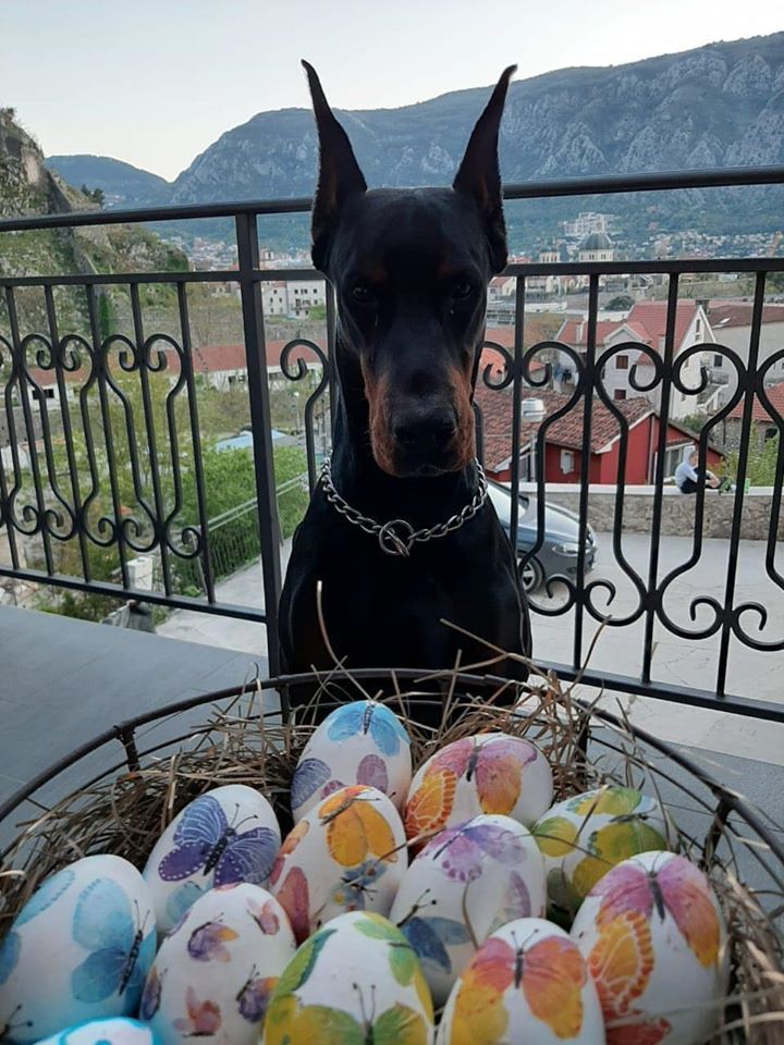 fireeaster