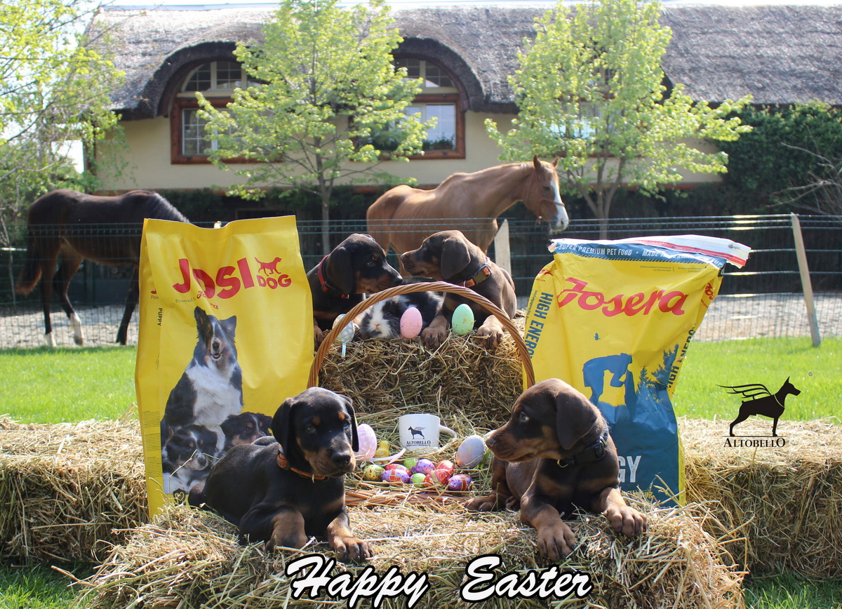easter2