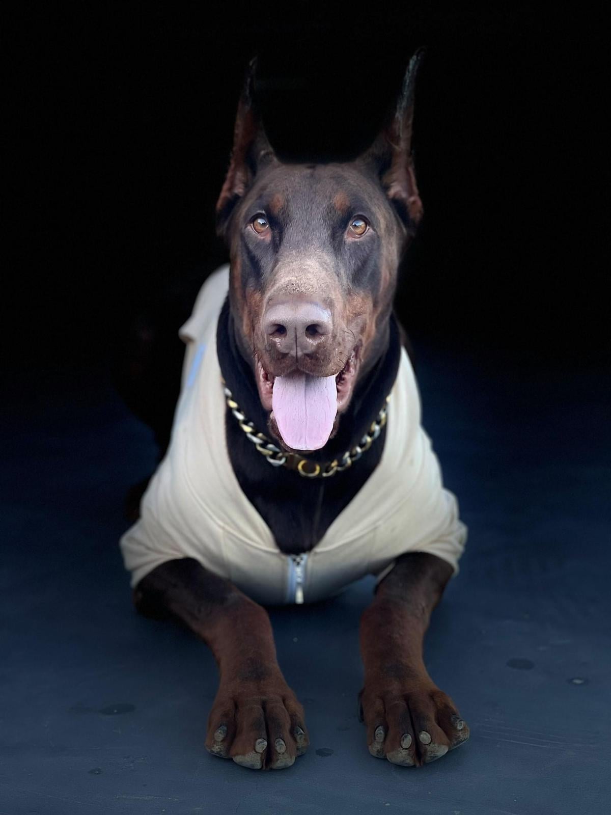 kublaj
