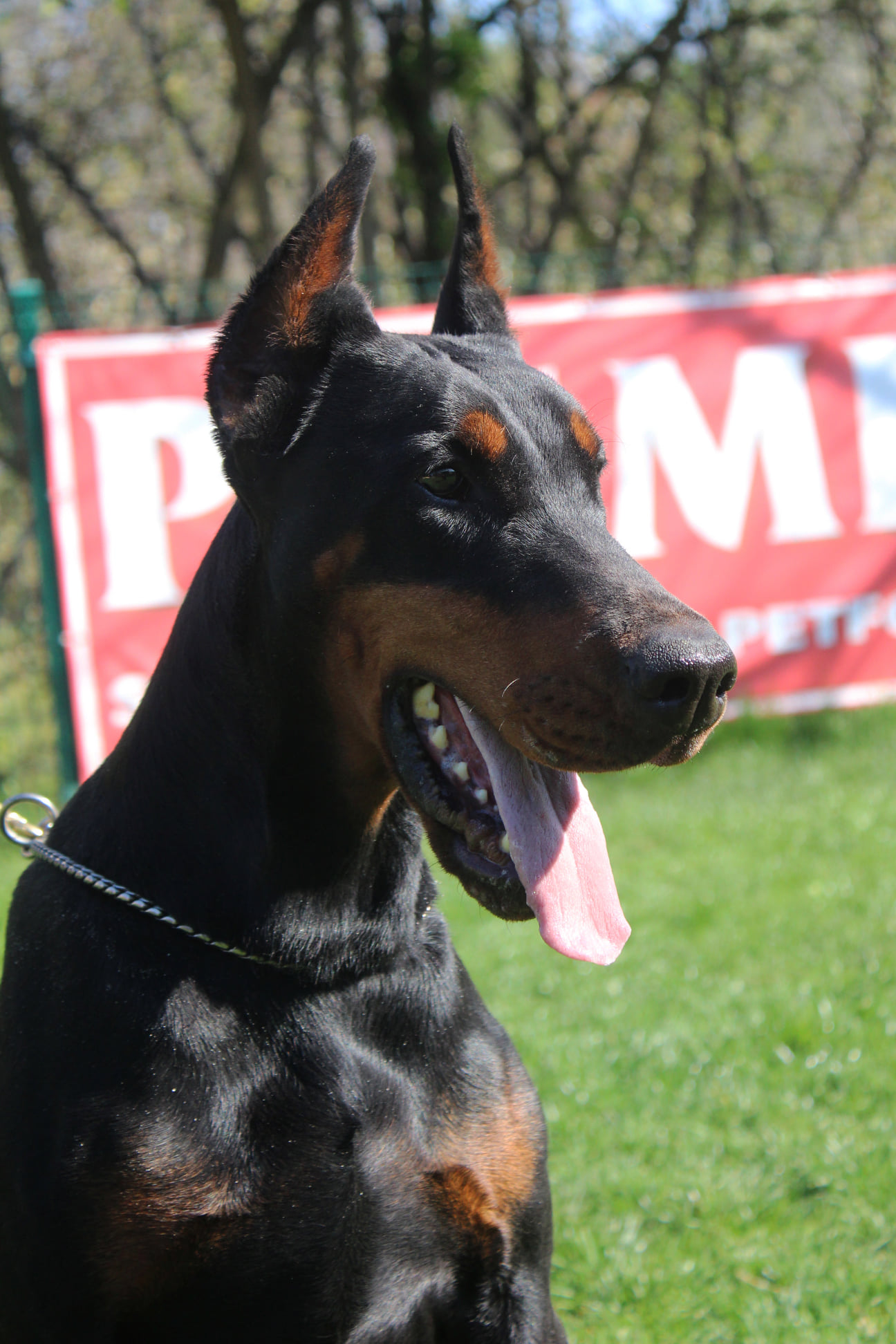 rima
