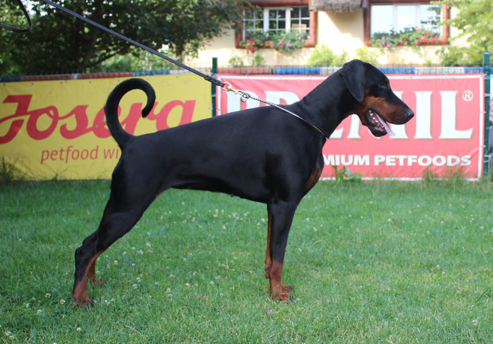 zena03
