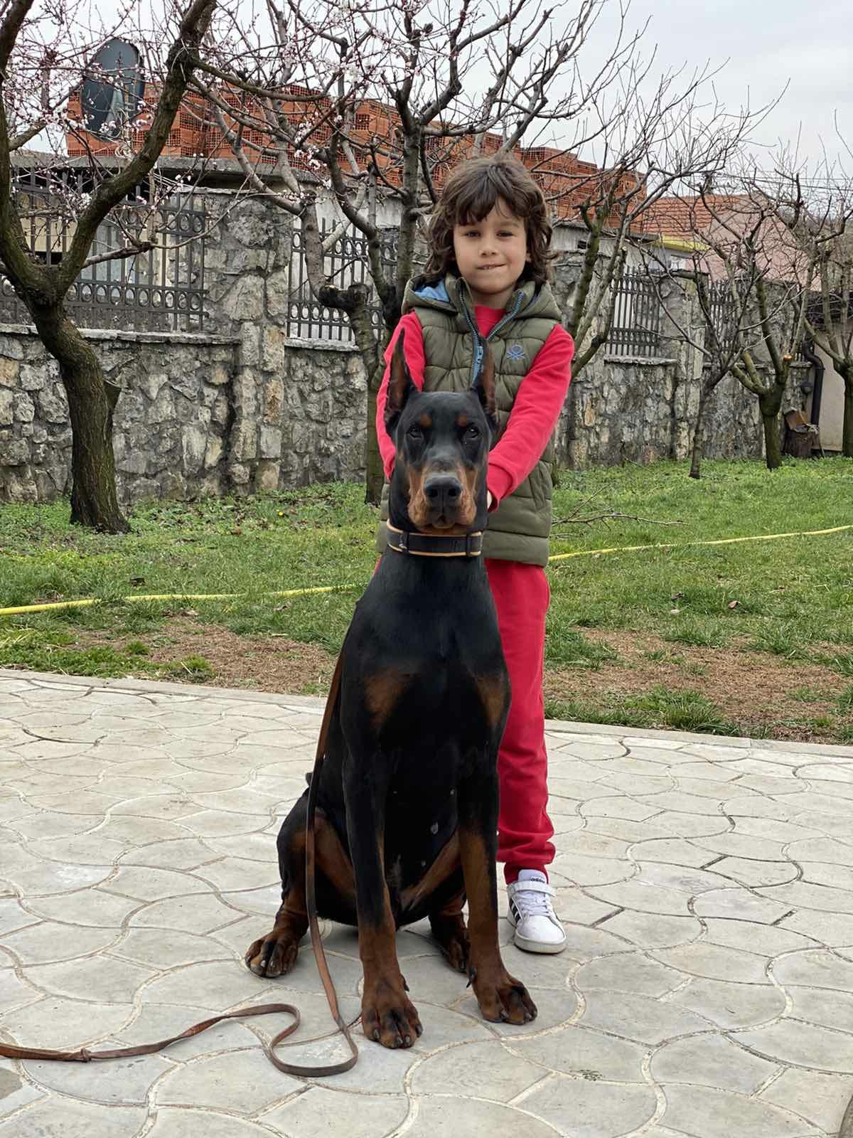 achilles
