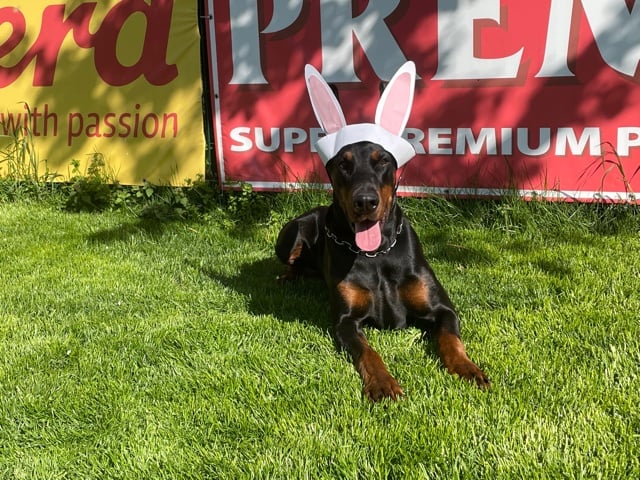 easter