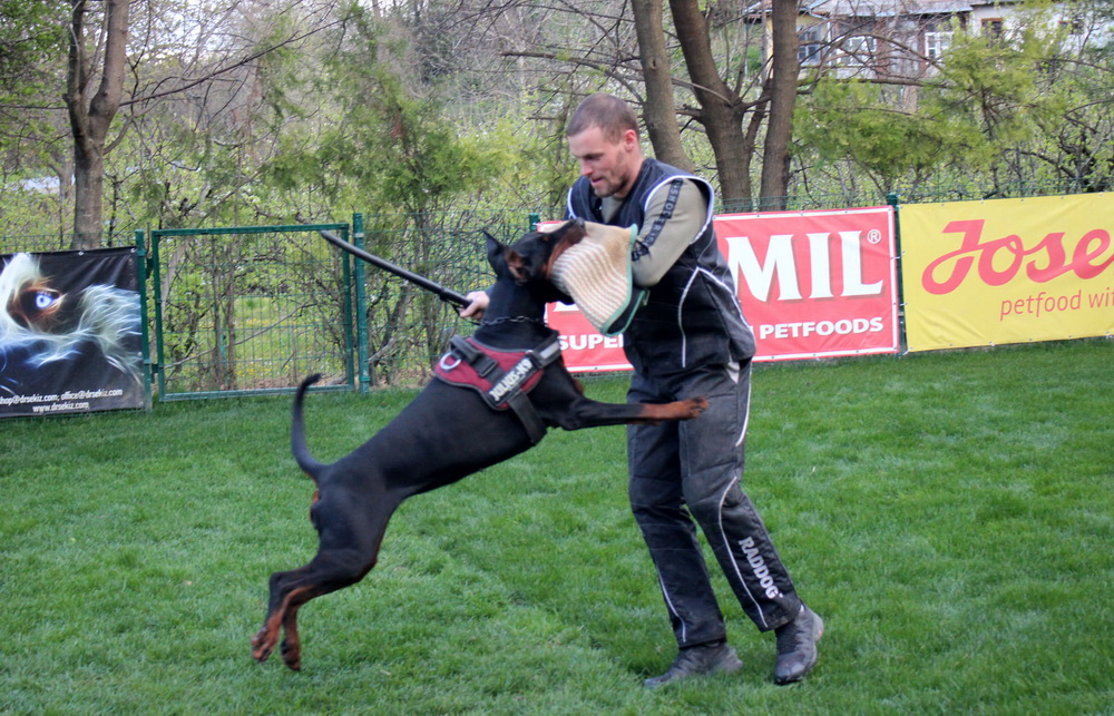 zena3