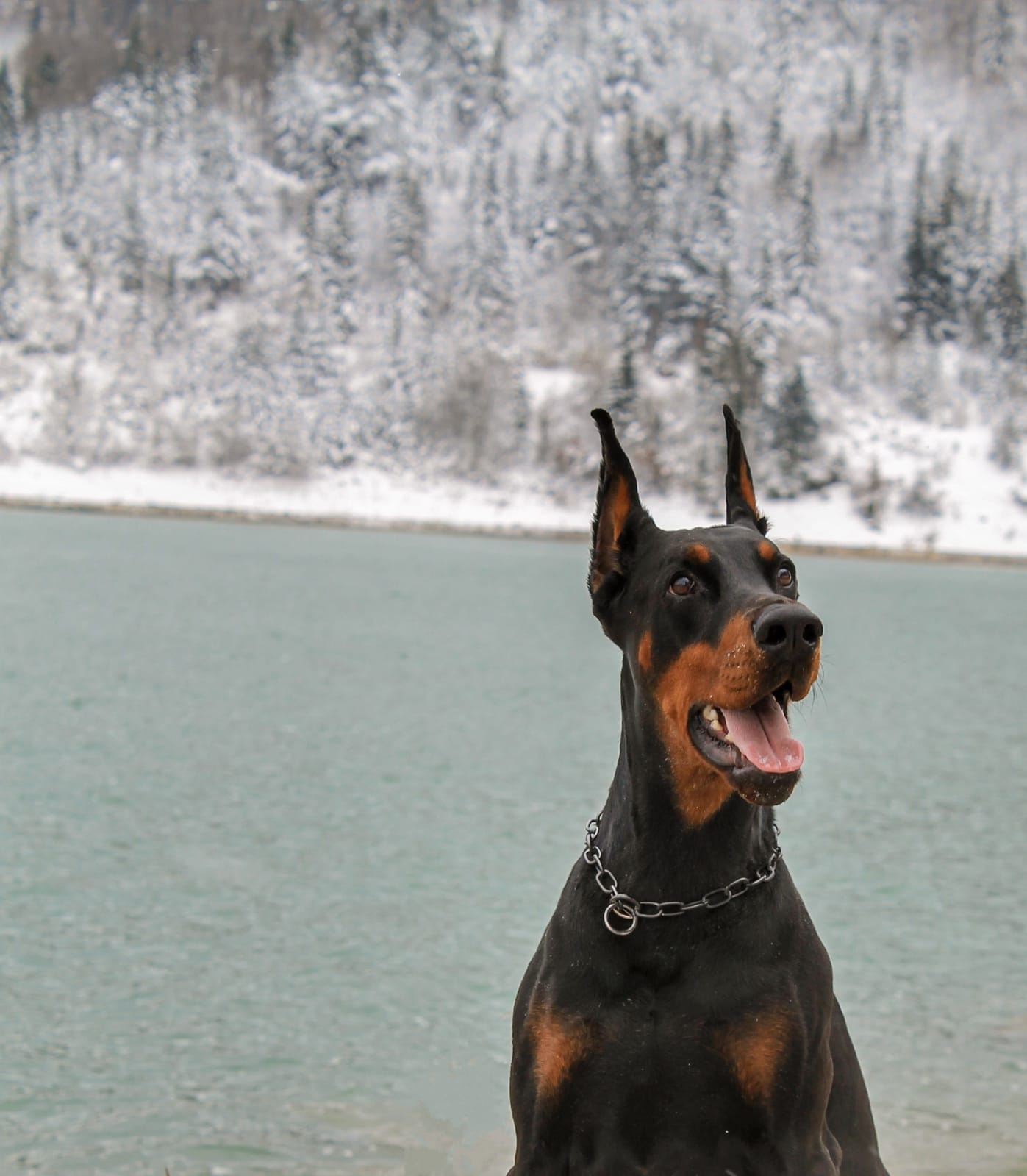 free winter