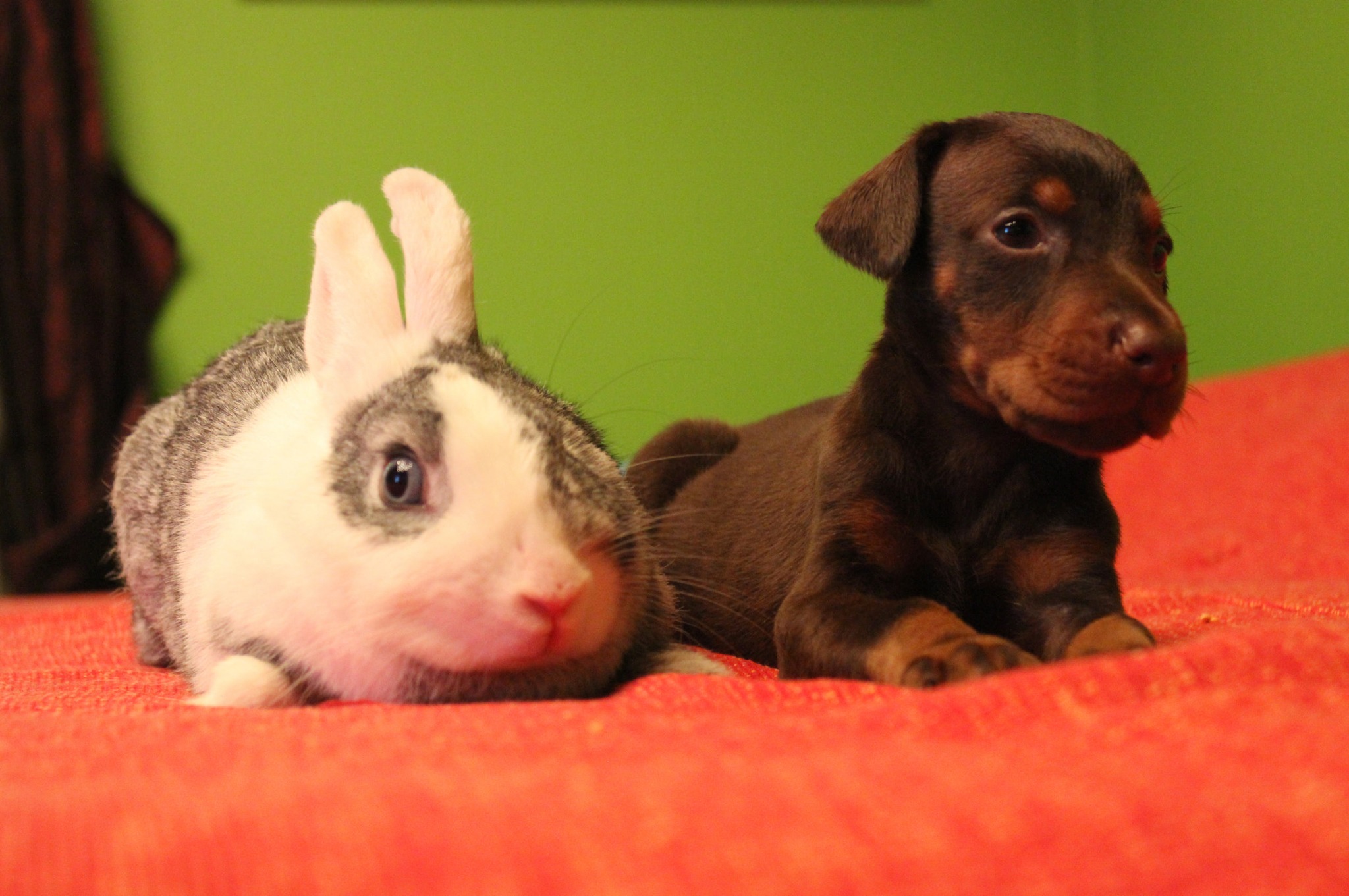 easter2