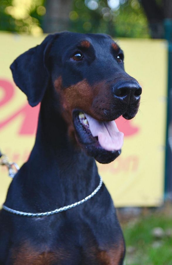 zena2