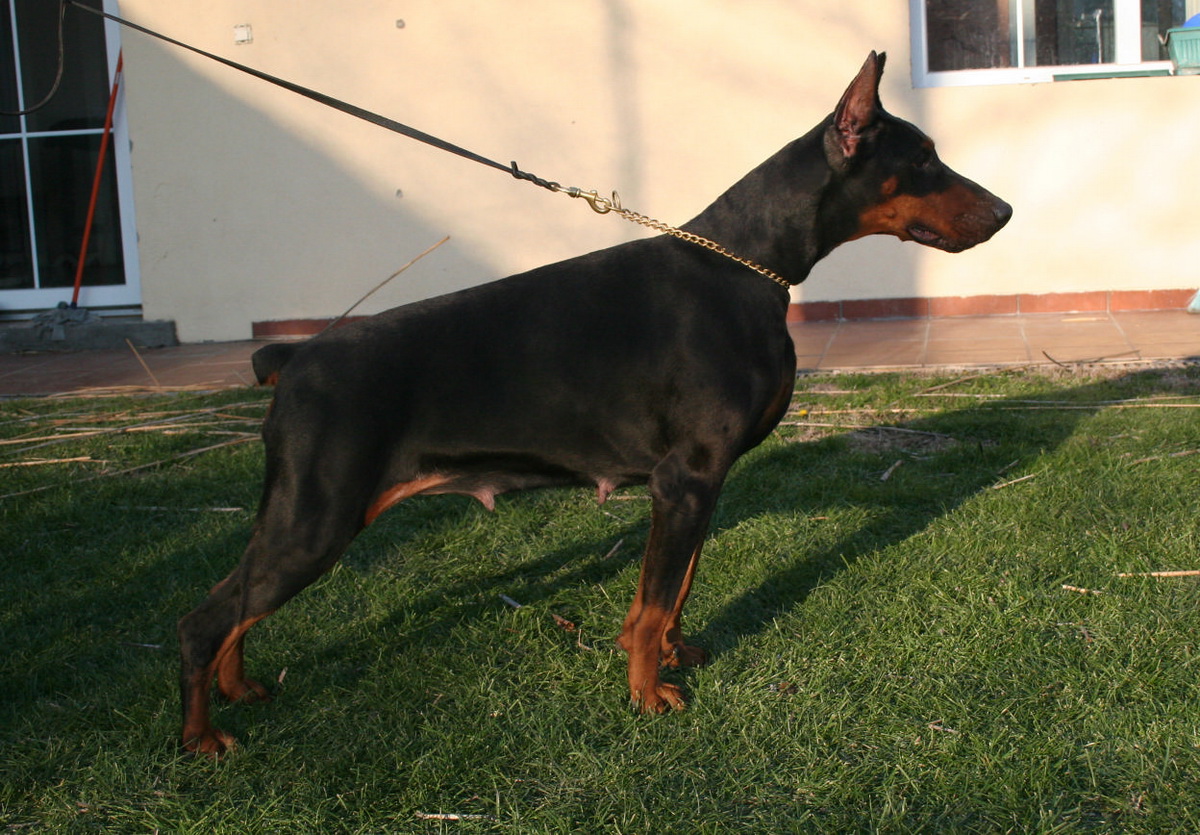 patrizia2
