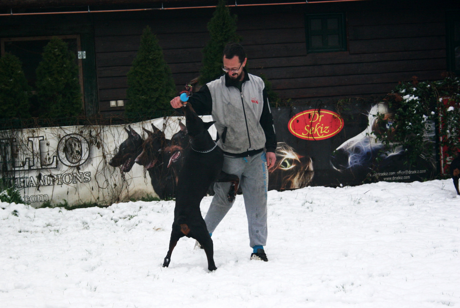 snow6