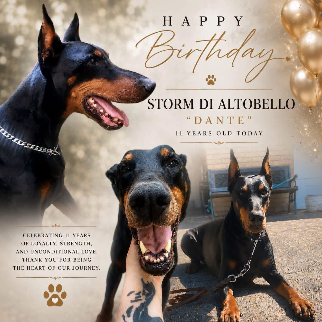 stormbday