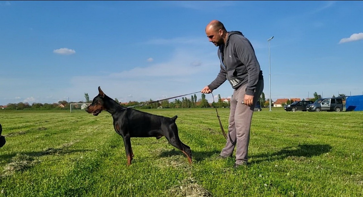 achilles