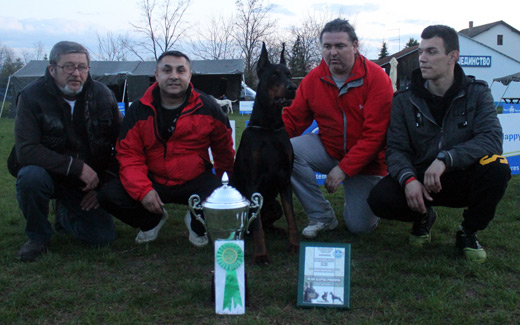 bestinshow