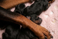 Babies!!! bebe3