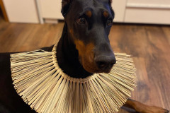 Photo of the day sparta