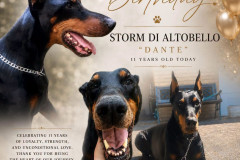 Happy Bday beautiful boy!!! stormbday