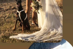 Let's celebrate Love wedding